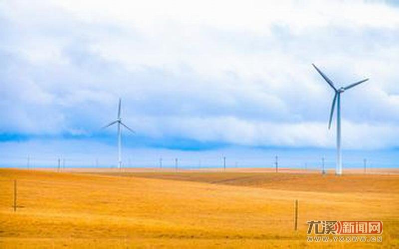 坚硬的荒原的赏析