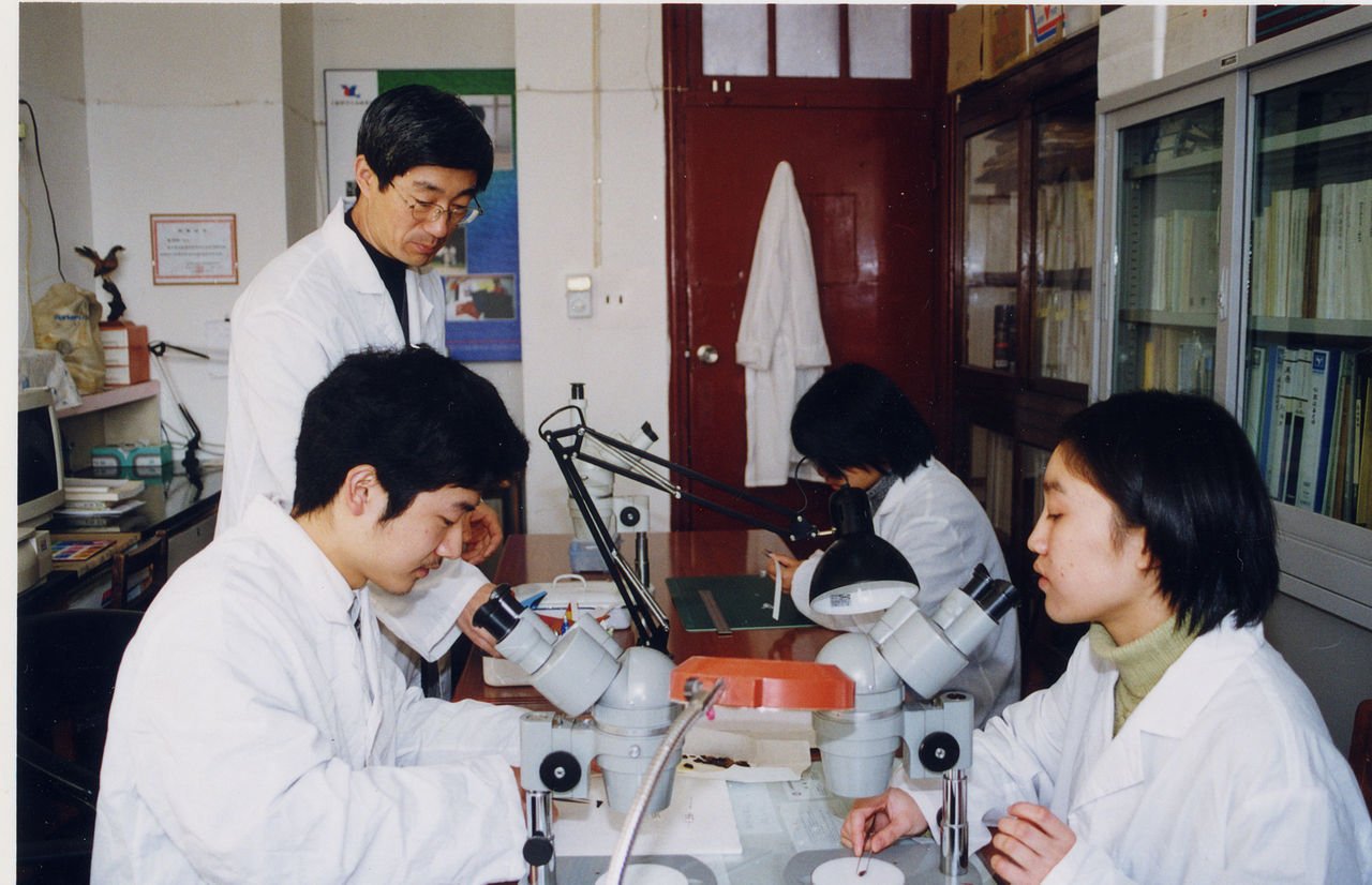 李利珍的科研工作