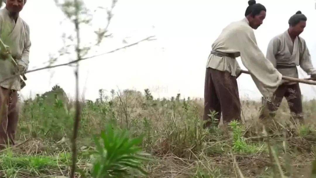 添丁进口下一句是什么