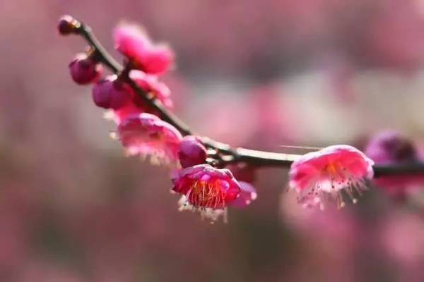 元亨利贞是什么意思啊