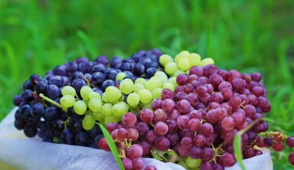 天然是什么意思？