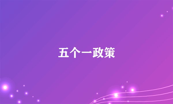 五个一政策