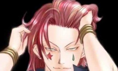 全职猎人：最后的结局是什么？