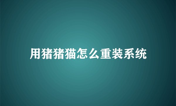 用猪猪猫怎么重装系统