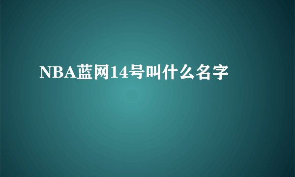 NBA蓝网14号叫什么名字