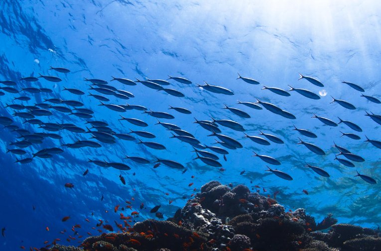 海底星空是什么