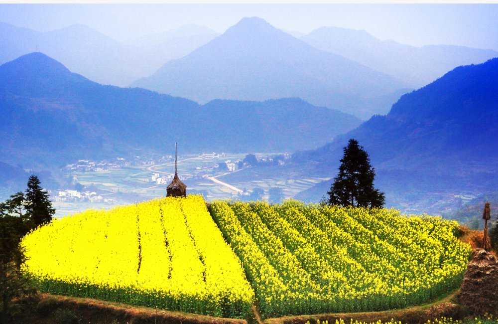 景德镇到婺源多少公里路