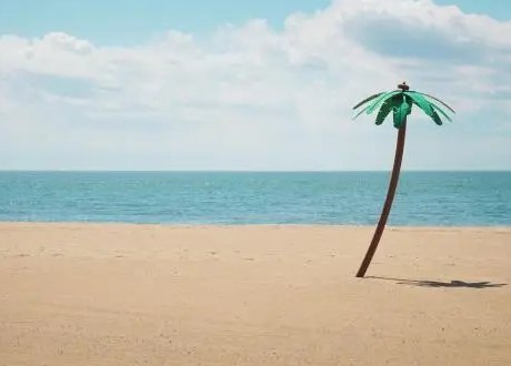 沙滩又又又又又又什么