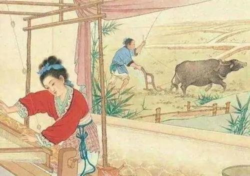 添丁进口下一句是什么