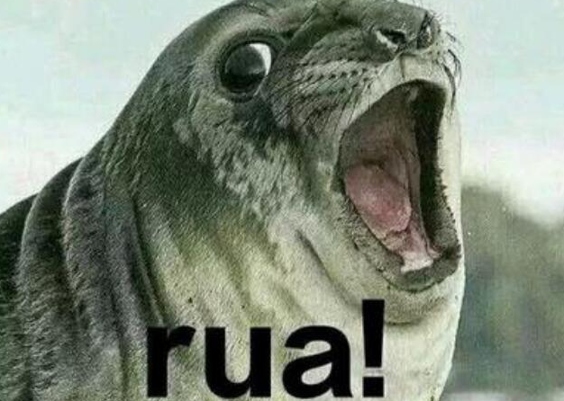 rua是什么意思？