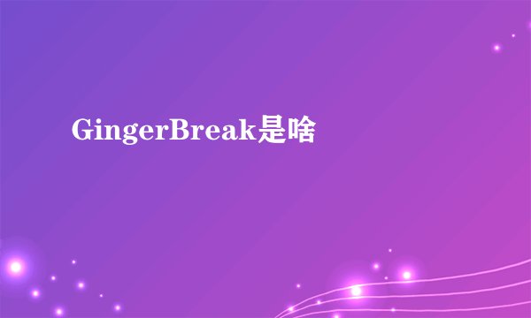 GingerBreak是啥