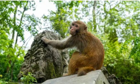 68年出生的今年多大