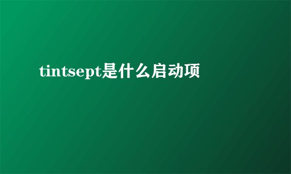 tintsept是什么启动项