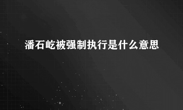 潘石屹被强制执行是什么意思