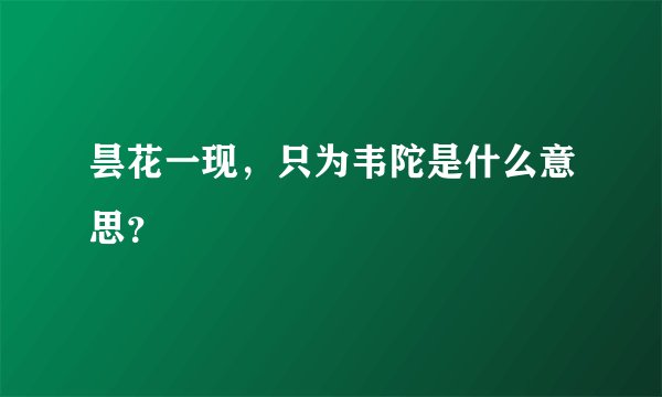 昙花一现，只为韦陀是什么意思？