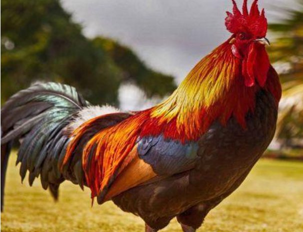 坐吃享福打一数字