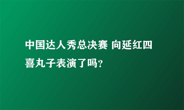 中国达人秀总决赛 向延红四喜丸子表演了吗？