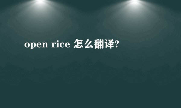 open rice 怎么翻译?