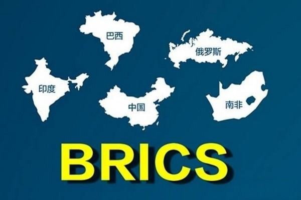 金砖国家是谁主导