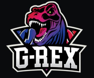 GRX英雄联盟哪个战队