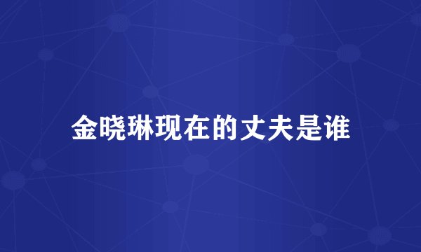 金晓琳现在的丈夫是谁