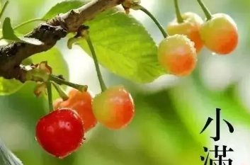 人生最好是小满，下一句是什么？