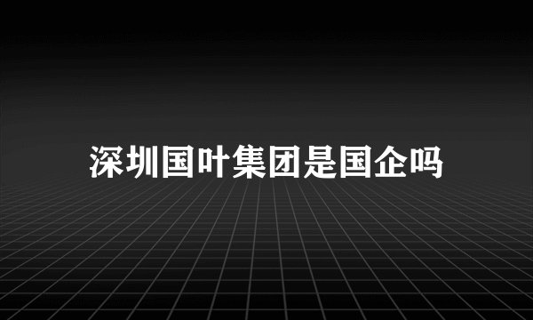 深圳国叶集团是国企吗