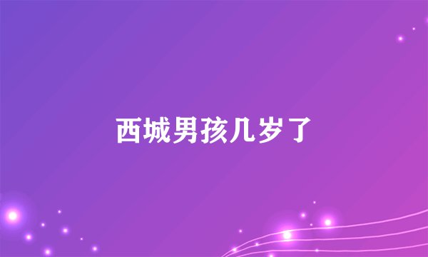西城男孩几岁了