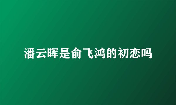 潘云晖是俞飞鸿的初恋吗