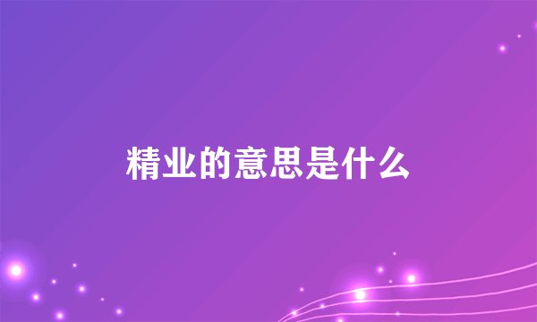精业的意思是什么