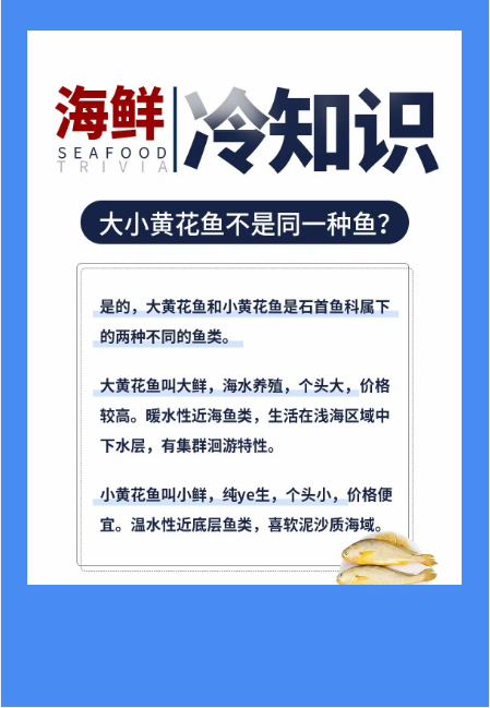 大小黄花鱼不是同一种鱼？