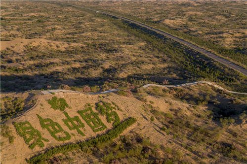 骆驼在撒哈拉沙漠雪中漫步，沙漠中为何会下雪？