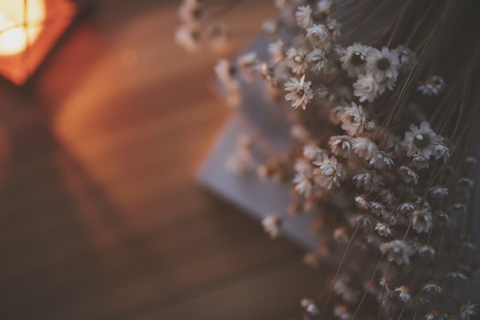 岁月静好，现世安稳是什么意思？