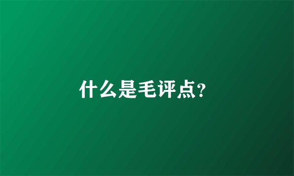 什么是毛评点？