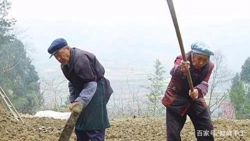 全球食品价格连续9个月上涨,为何会出现这样的趋势?