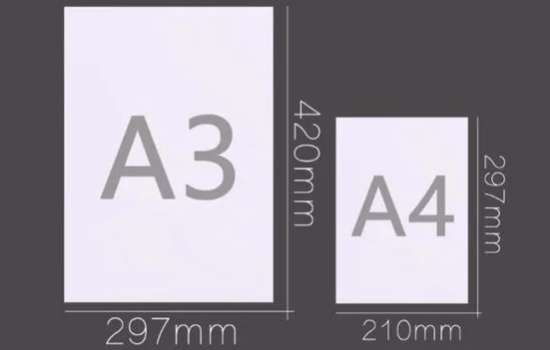 a3纸有多大图片