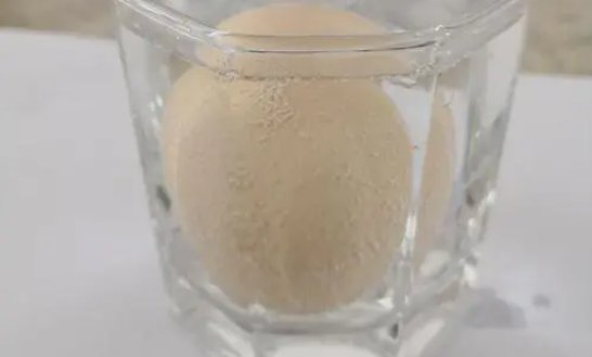 在生活中你有什么新发现吗把你认为有趣的发现描述下来和同学们交流一下吧