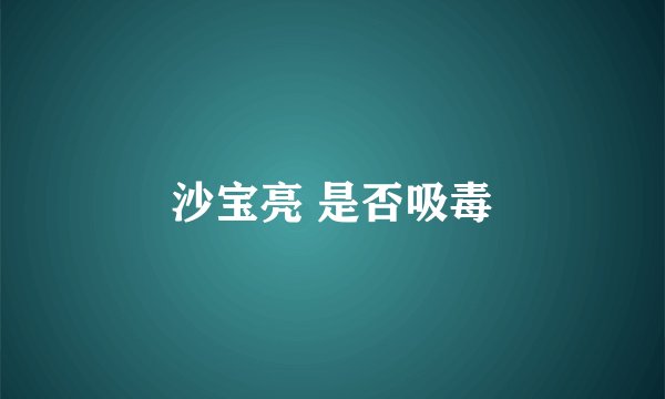 沙宝亮 是否吸毒