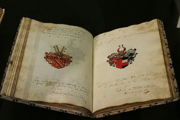 如何入门纹章学