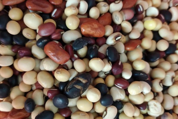 吃小豆豆的描写片段