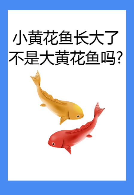 大小黄花鱼不是同一种鱼？