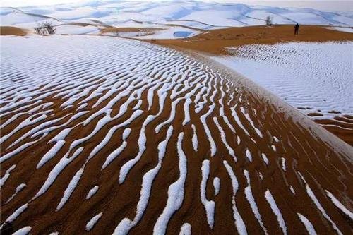 骆驼在撒哈拉沙漠雪中漫步，沙漠中为何会下雪？