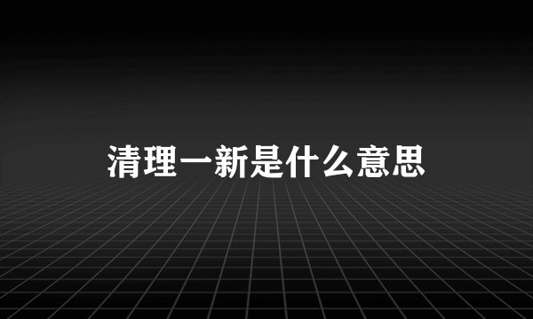 清理一新是什么意思