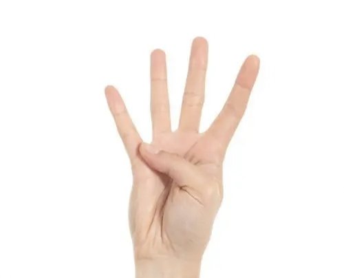 四女手指的画内容是什么