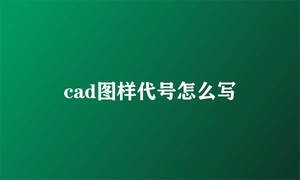 cad图样代号怎么写