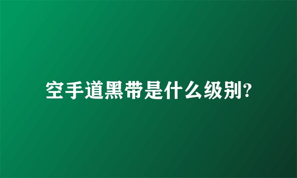 空手道黑带是什么级别?