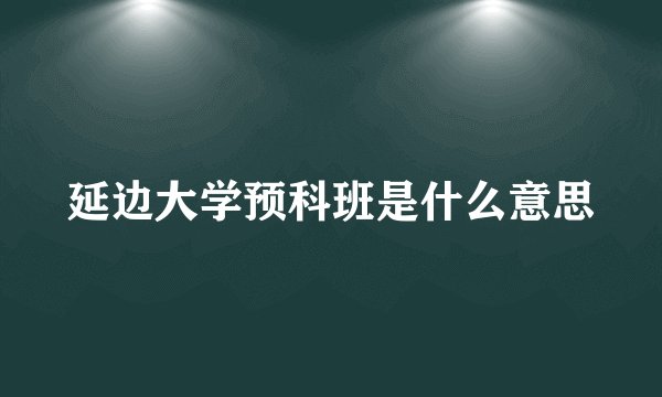 延边大学预科班是什么意思