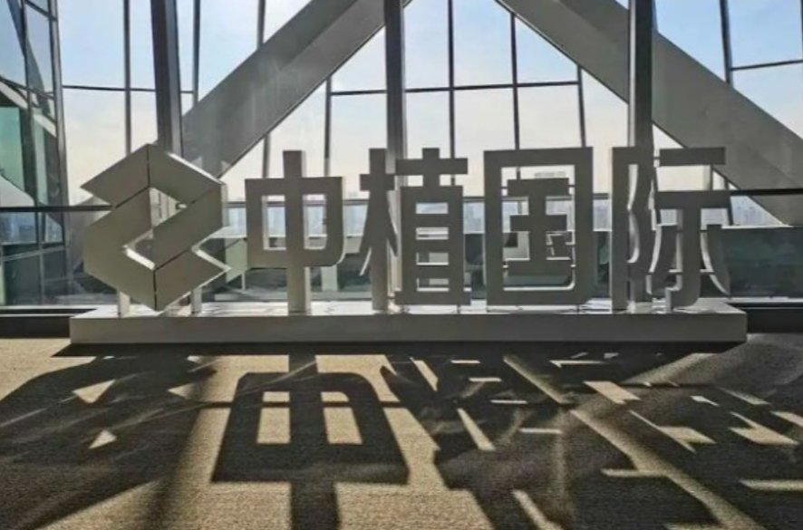 中植系什么意思