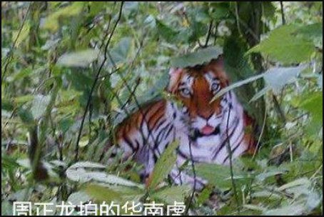 2008年发生了哪些大事？