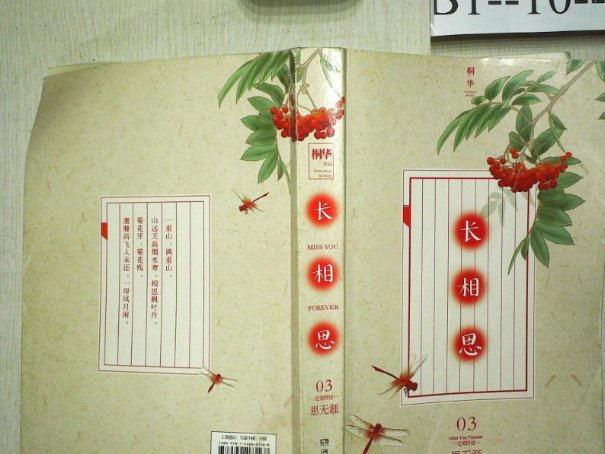 长相思的小说叫什么名字